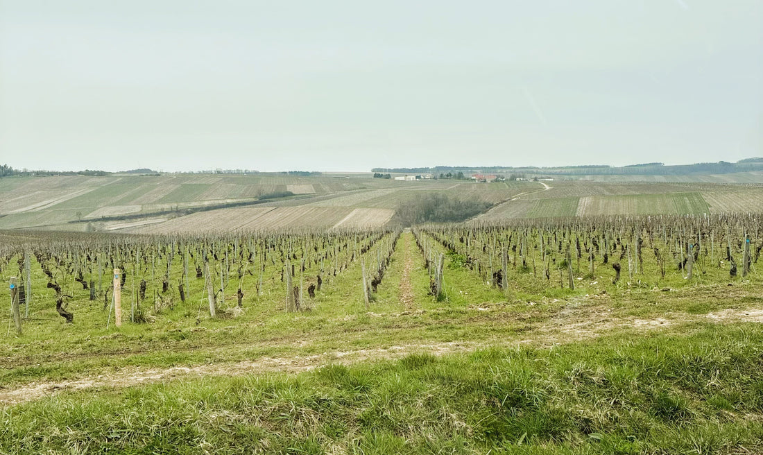 Nu är det vår på riktigt och i helgen ställer vi om klockan!