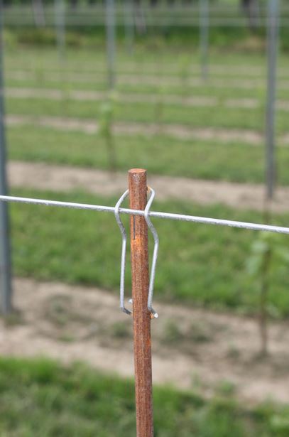 Plantstöd galvaniserat stål