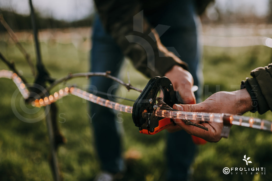 Nu blickar vi mot 2026