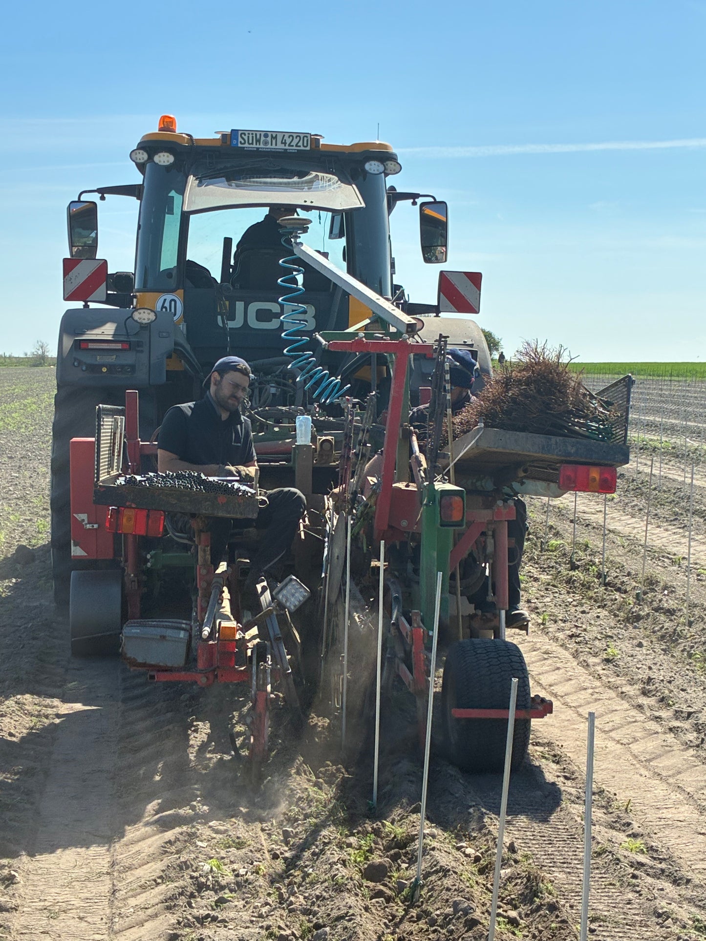 Plantering, montering av plantstöd, vingårdsstolpar och tråd.