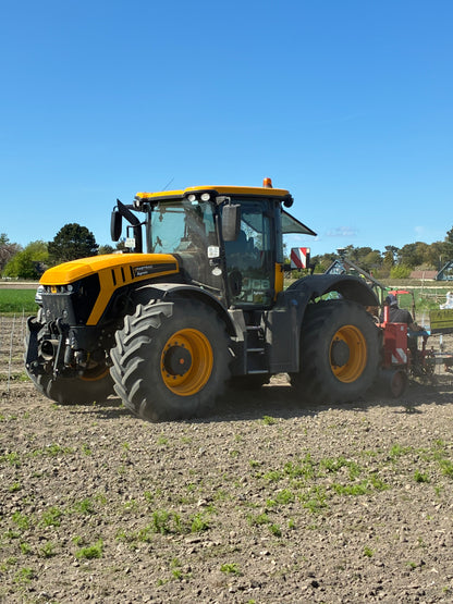 Plantering, montering av plantstöd, vingårdsstolpar och tråd.