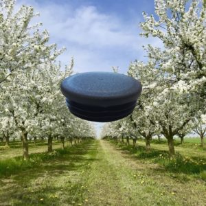 Stolphatt till stålstolpar för fruktodling från Profil Alsace