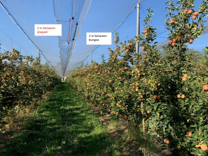 Hagelnät för fruktodling
